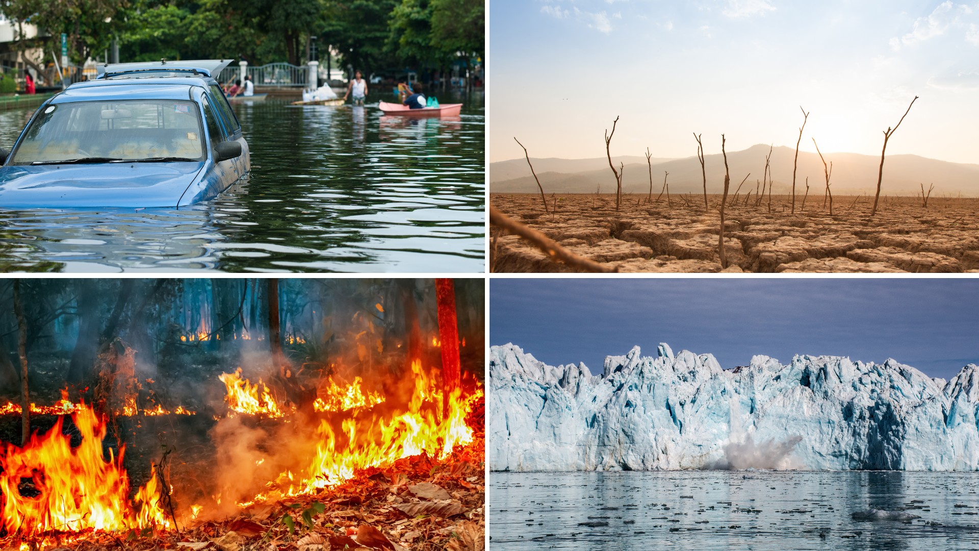 Eventos climáticos extremos na América do Sul - crise climática no Brasil,  Argentina e Paraguai
